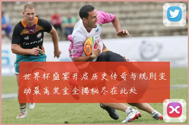 世界杯盛宴开启历史传奇与规则变动最高奖金全揭秘尽在此处