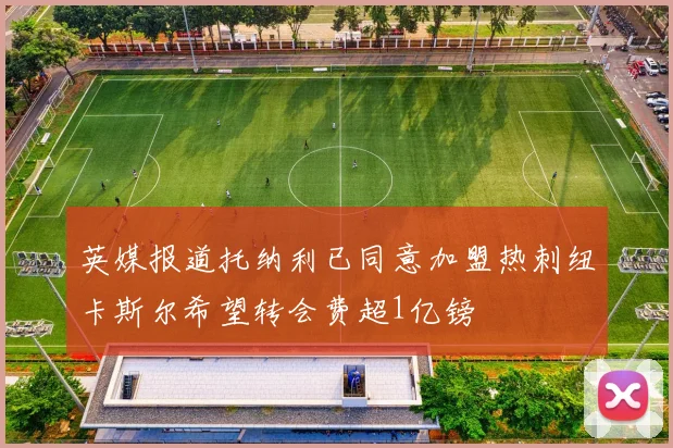 英媒报道托纳利已同意加盟热刺纽卡斯尔希望转会费超1亿镑