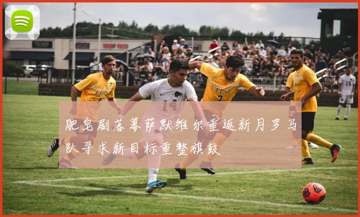 肥皂剧落幕萨默维尔重返新月罗马队寻求新目标重整旗鼓