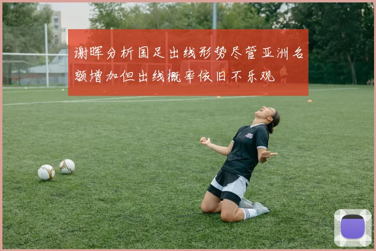 谢晖分析国足出线形势尽管亚洲名额增加但出线概率依旧不乐观